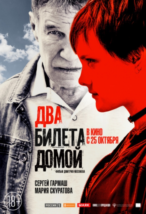 Два билета домой: постер